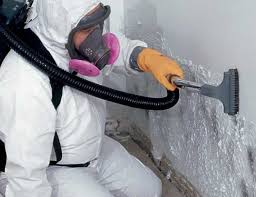 Best Air Quality Testing for Mold Spores  in Kirkland, WA